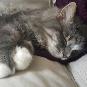 Meet your Posher, Marcy